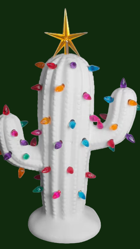 Lighted Christmas Cactus